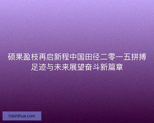 硕果盈枝再启新程中国田径二零一五拼搏足迹与未来展望奋斗新篇章